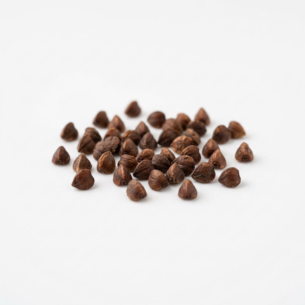 10g Roasted Buckwheat (苦荞)